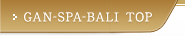 GAN-SPA-BALI TOP