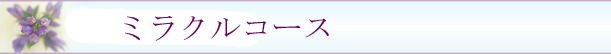 ���R��՗� �G�X�e ��X�p�o���b���R�����R�s������,���Ճ_�C�G�b�g,