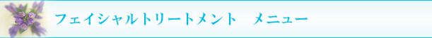 ���R��՗� �G�X�e ��X�p�o���b���R�����R�s������,���Ճ_�C�G�b�g,