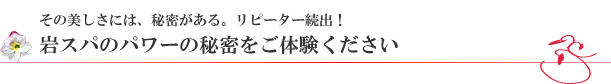 ���R�u���C�_���G�X�e����՗� �G�X�e ��X�p�o���b���R�����R�s������,���Ճ_�C�G�b�g,���K