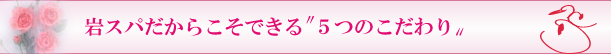 ���R�u���C�_���G�X�e����՗� �G�X�e ��X�p�o���b���R�����R�s������,���Ճ_�C�G�b�g,���K