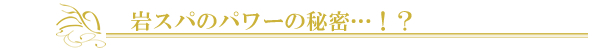 ���R�u���C�_���G�X�e����՗� �G�X�e ��X�p�o���b���R�����R�s������,���Ճ_�C�G�b�g,���K