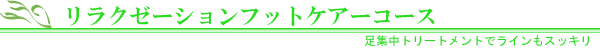 ���R��՗� �G�X�e ��X�p�o���b���R�����R�s������,���Ճ_�C�G�b�g,