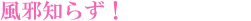 ���R�u���C�_���G�X�e����՗� �G�X�e ��X�p�o���b���R�����R�s������,���Ճ_�C�G�b�g,���K