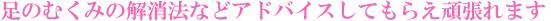 ���R�u���C�_���G�X�e����՗� �G�X�e ��X�p�o���b���R�����R�s������,���Ճ_�C�G�b�g,���K