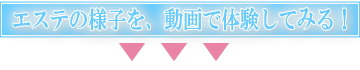 ���R��՗� �G�X�e ��X�p�o���b���R�����R�s������,���Ճ_�C�G�b�g,